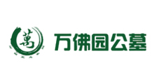 企业网站建设
